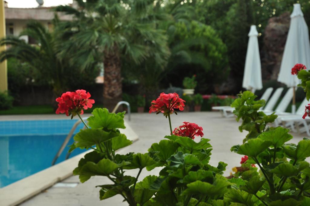 Palm Court Suites Ayvalik Bagian luar foto