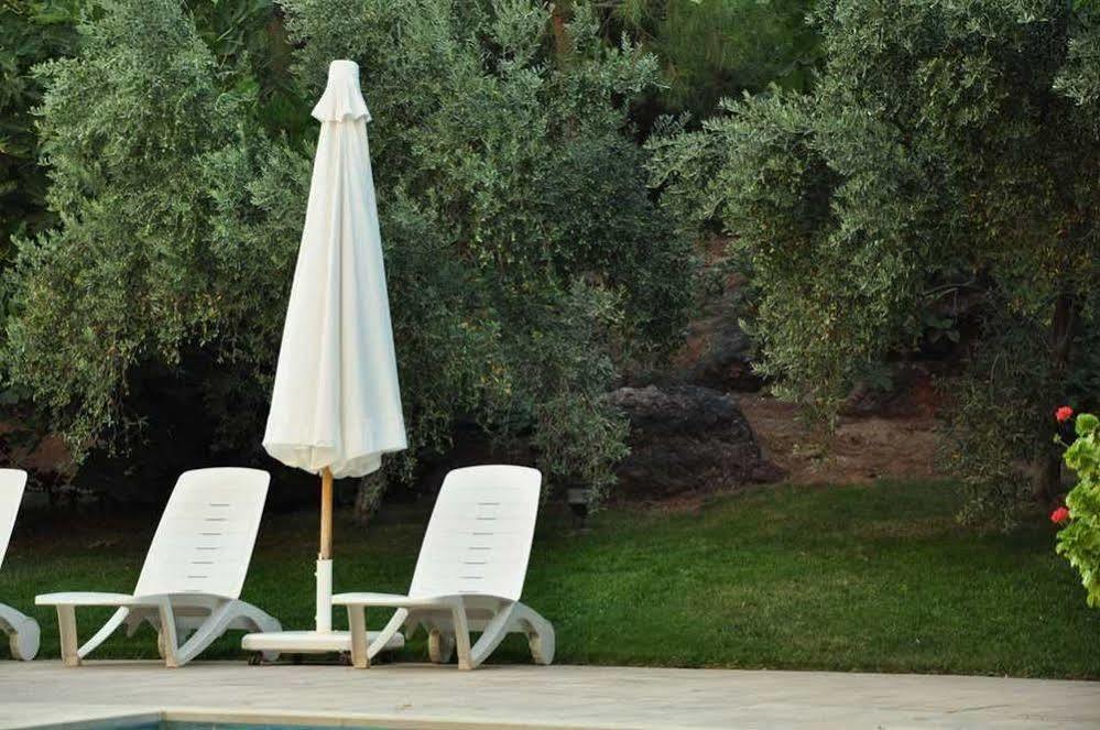 Palm Court Suites Ayvalik Bagian luar foto